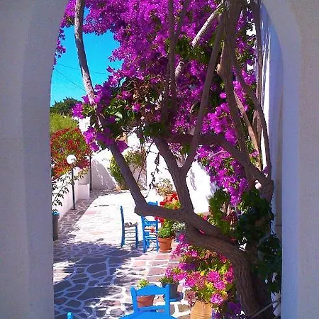 Pelagos Aparthotel Parikia (Paros)