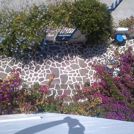 Pelagos