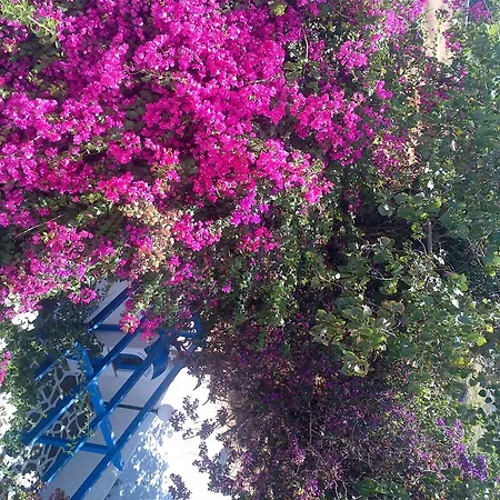 Pelagos Parikia (Paros)