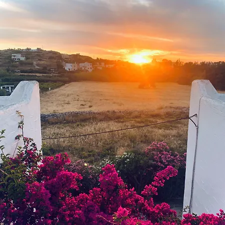 Pelagos Aparthotel Parikia (Paros)