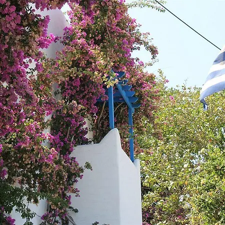 Pelagos Parikia (Paros)