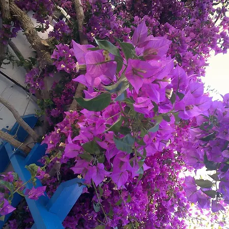 شقة فندقية Pelagos