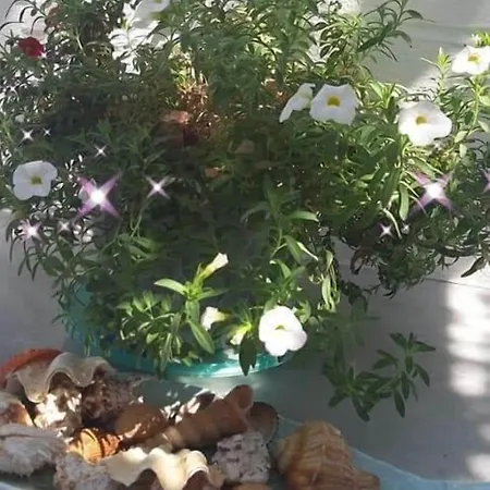 מלון דירות Pelagos פארוס