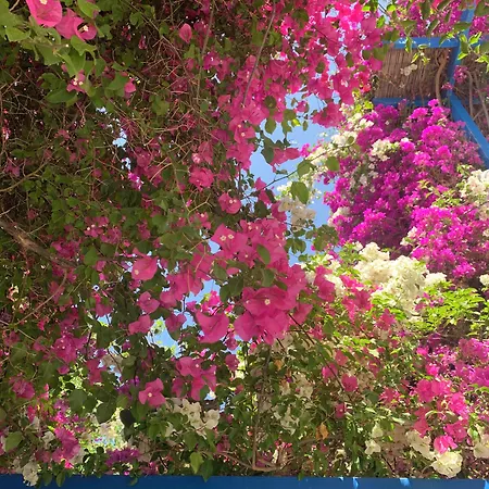 מלון דירות Pelagos 4*