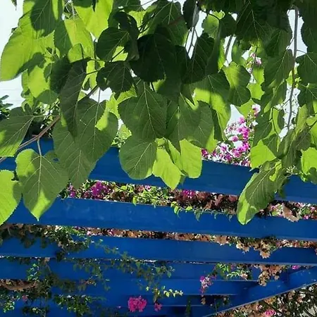 Pelagos 4* פארוס