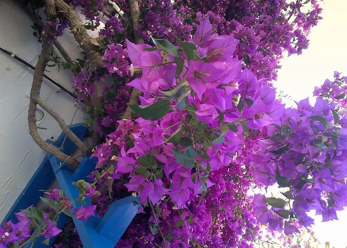 Ξενοδοχείο με διαμερίσματα Pelagos