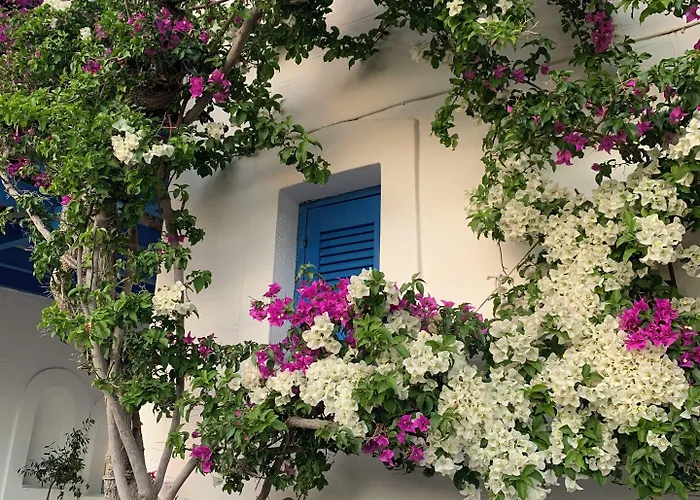 Pelagos Ξενοδοχείο με διαμερίσματα