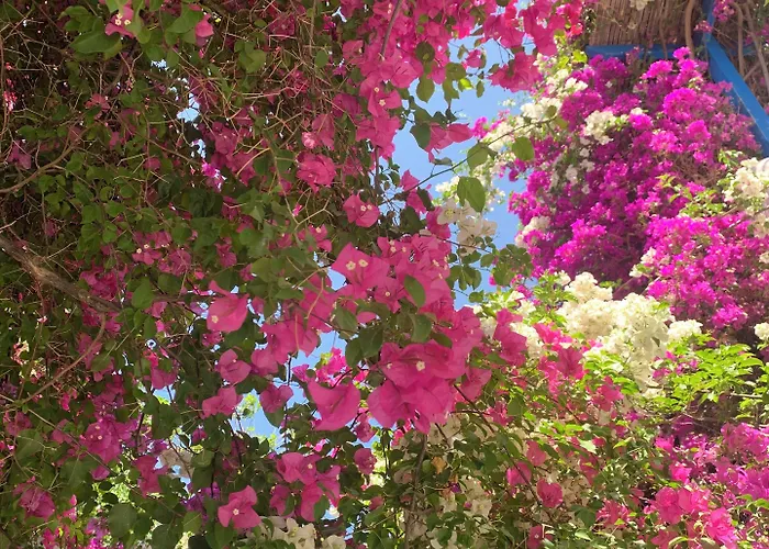 Ξενοδοχείο με διαμερίσματα Pelagos 4*