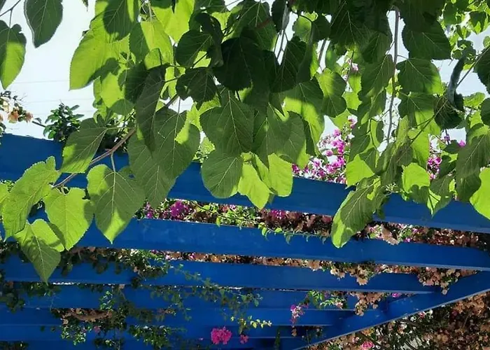 Pelagos 4* Πάρος